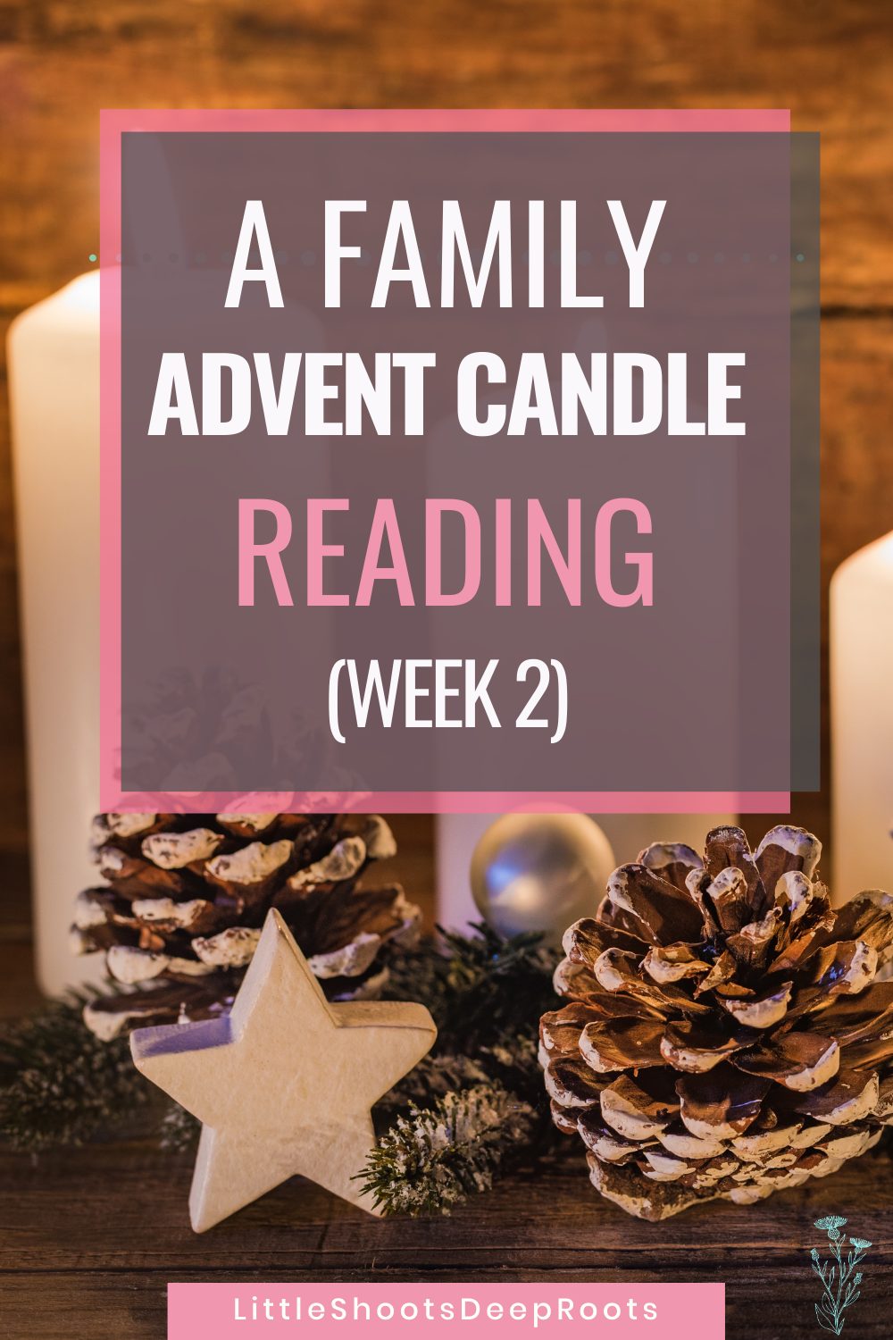 Advent reading, week 2