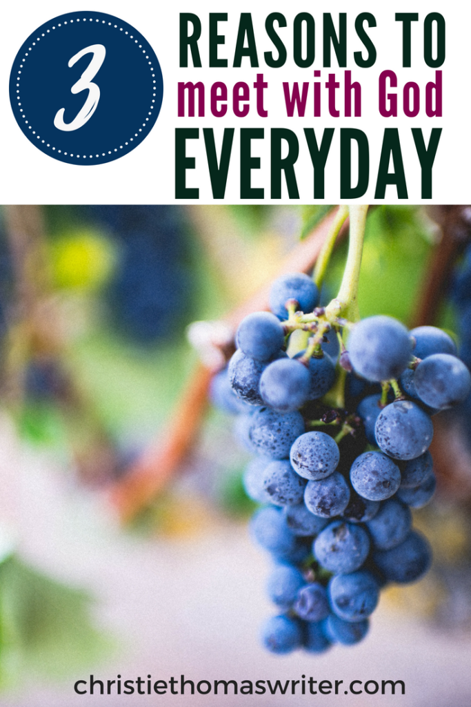 3 reasons to meet with God everyday