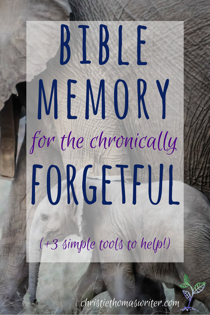 Bible memory can be so hard, especially for the chronically forgetful. Here are 3 reasons why it's important, even when it's hard, and 3 simple resources.