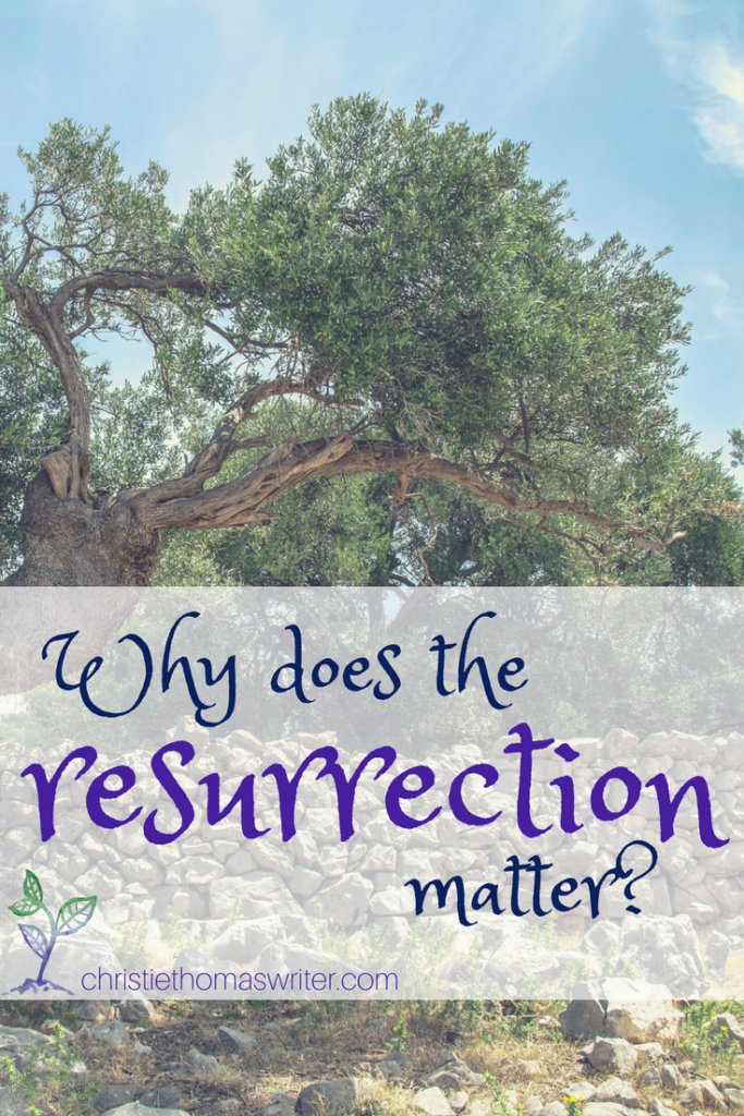 Why does the resurrection matter? #easter #biblestudy #devotional