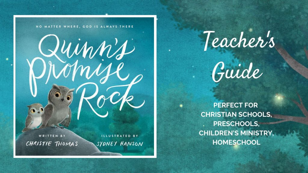 Quinn's Promise Rock teacher's guide
