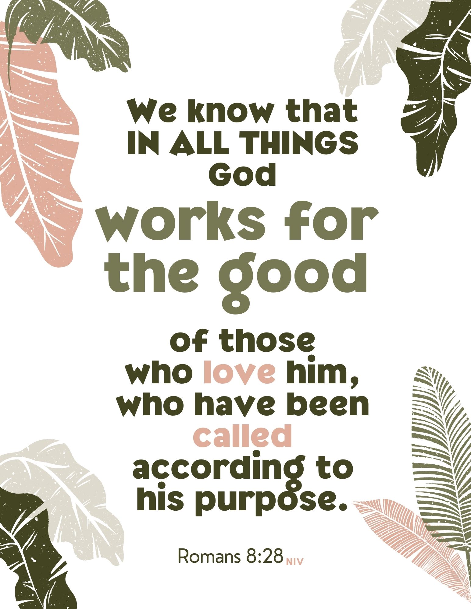 Women of Valor (Family Bible Study) - Image 3