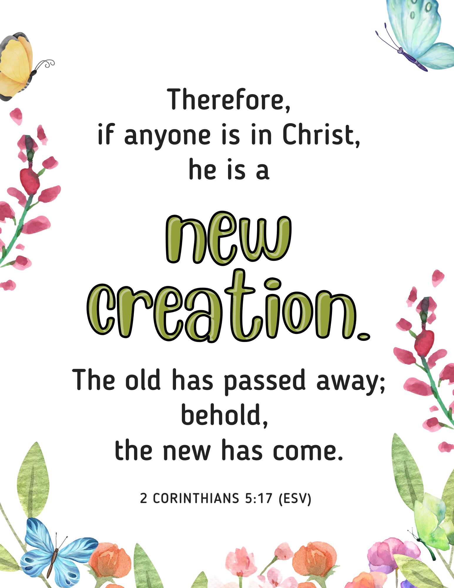 New Creation: Understanding Your Identity in Christ JOURNAL (GROUP) - Image 2