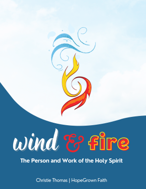 Wind and Fire: The Person and Work of the Holy Spirit (GROUP LICENSE)