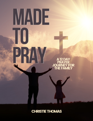 Made to pray: a 12 day prayer journey (Group License)