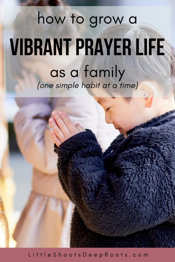 Building a prayerful family doesn't have to be overwhelming! This podcast episode walks you through simple, step-by-step habits to grow a vibrant prayer life at home—no matter where you're starting from.
#ChristianParenting #FamilyDiscipleship #FaithGrowth #PrayerHabits #ChristianPodcast #ParentingPodcast #ChristianFamily