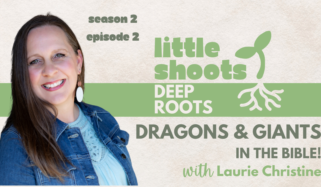 Dragons and Giants and Books for Boys, with Laurie Christine