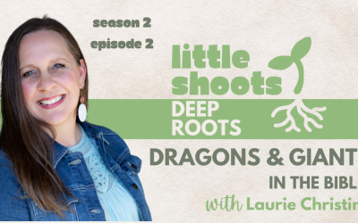 Dragons and Giants and Books for Boys, with Laurie Christine